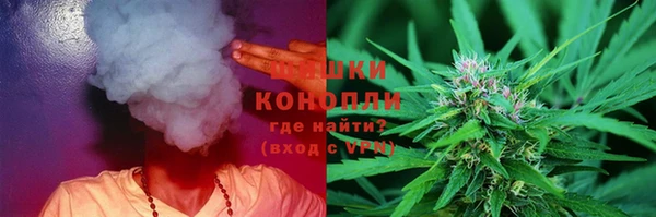 стафф Верхний Тагил
