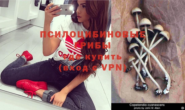 ПСИЛОЦИБИНОВЫЕ ГРИБЫ Верея