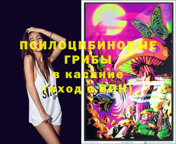 стафф Верхний Тагил