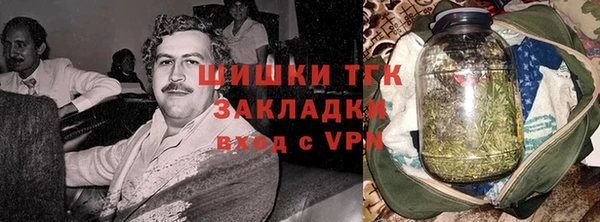 ПСИЛОЦИБИНОВЫЕ ГРИБЫ Верея