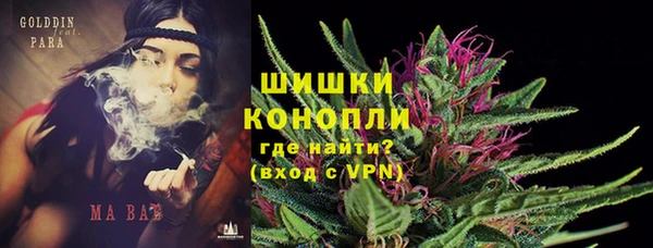 стафф Верхний Тагил