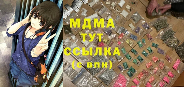 ПСИЛОЦИБИНОВЫЕ ГРИБЫ Верея