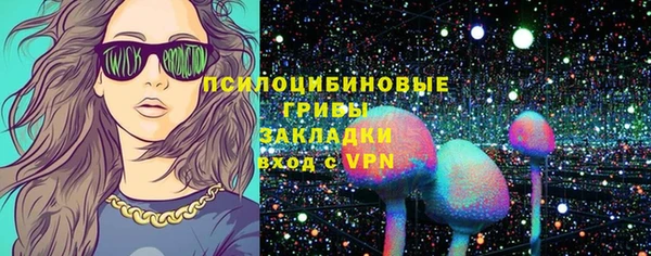 ПСИЛОЦИБИНОВЫЕ ГРИБЫ Верея
